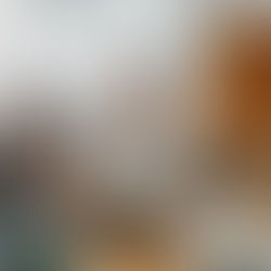 Into the Plant world