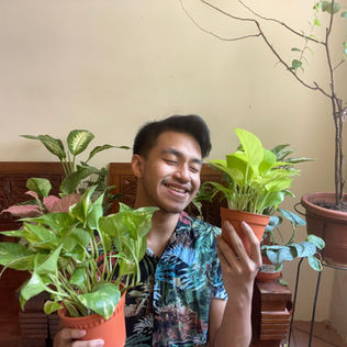 Top 5 High Maintenance plants