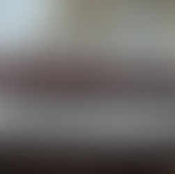 The Pandemic – and how it’s affected us.