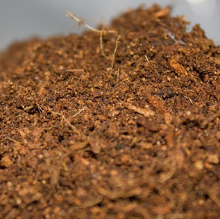 Different types of growing medium