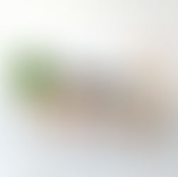 Home - and what it means to us.