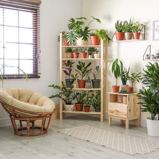 TOP 3 Interior Design Trends