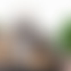 Furniture Shopping 101