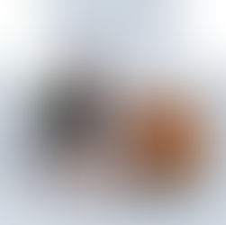 Is It Difficult to Switch to a Sustainable Lifestyle?