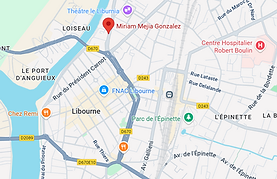 capture googlemap.png