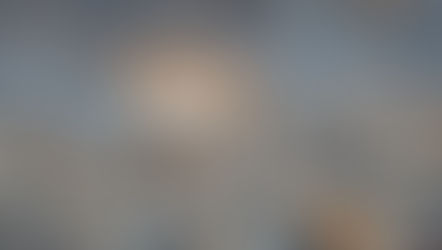 Ameaça crescente: subida do nível do mar compromete o futuro das aves limícolas migratórias