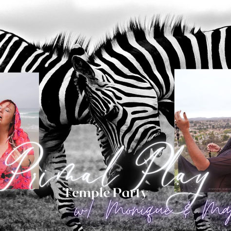 Primal Is Back in DC!