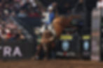 PBR: New York Mavericks Bring Bull Riding Action to UBS Arena – September 18–20, 2025