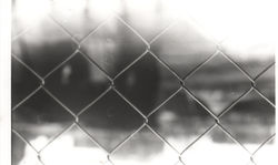 Chain Link