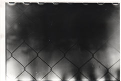 ChainLink2.jpeg