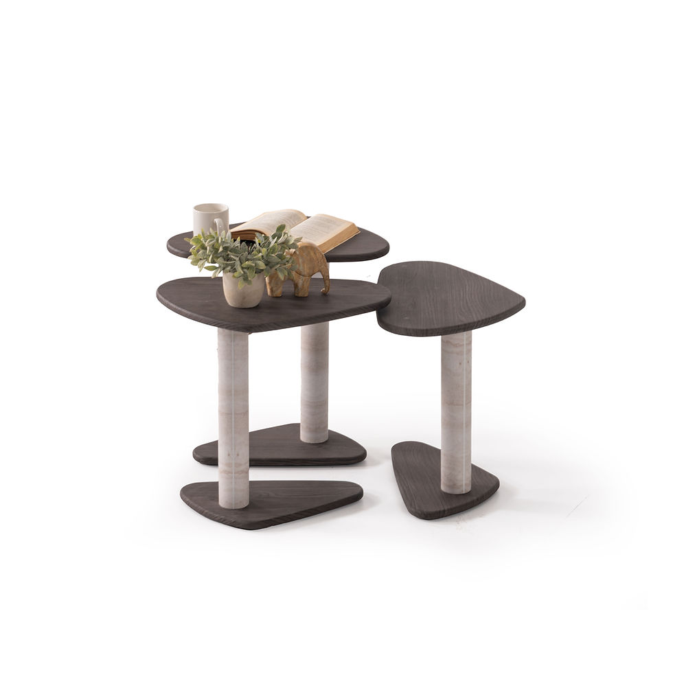 Küçük resim: MARİMO ZİGON SEHPA-PLUS