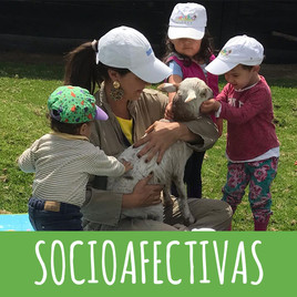 SOCIOAFECTIVAS