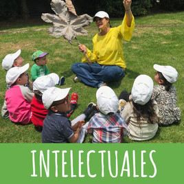 INTELECTUALES