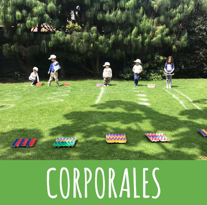 CORPORALES