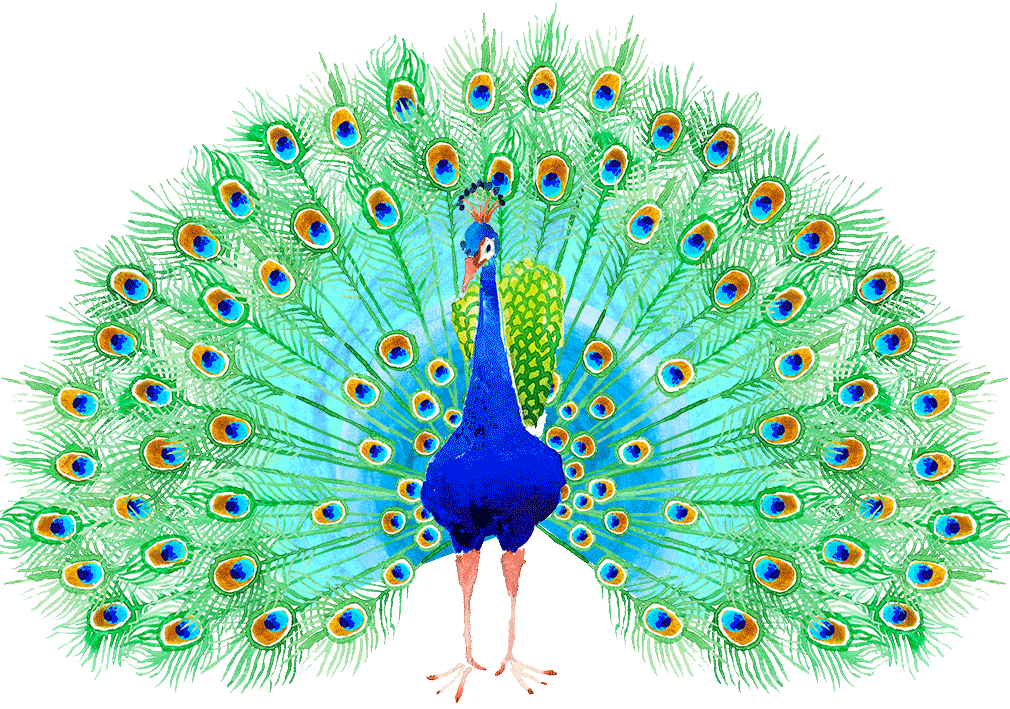 77d16e_d8c8ec33b0c8472a8615f9eced1f234f~mv2.gif