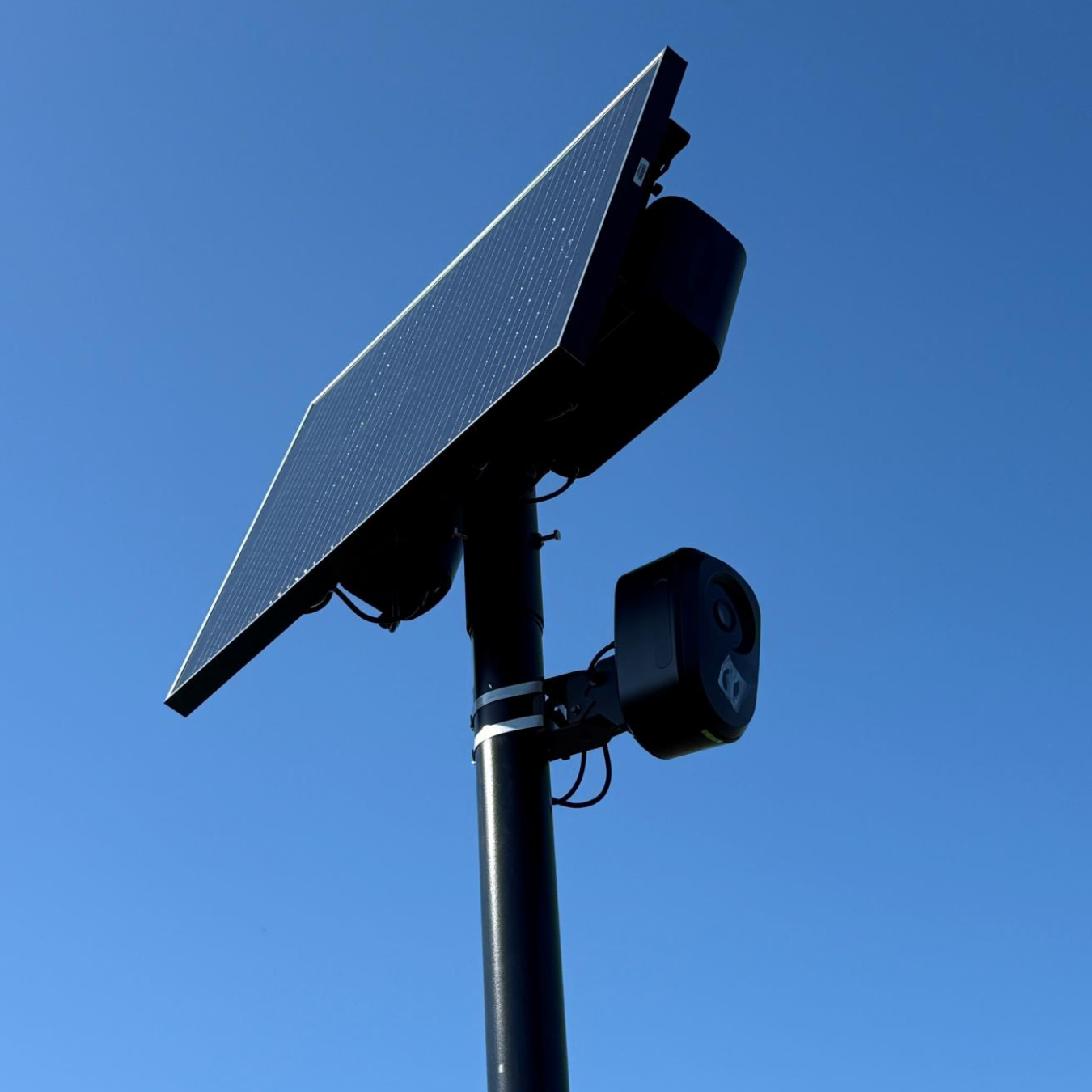 Automated license plate reader camera.
