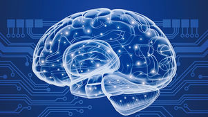 EXTRÊMES PRÉMATURÉS : IMPACT DU RETARD DE CROISSANCE POSTNATAL SUR LE DÉVELOPPEMENT NEUROLOGIQUE