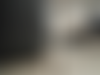 What Attracts Pests to Office Buildings (and How to Stop It)