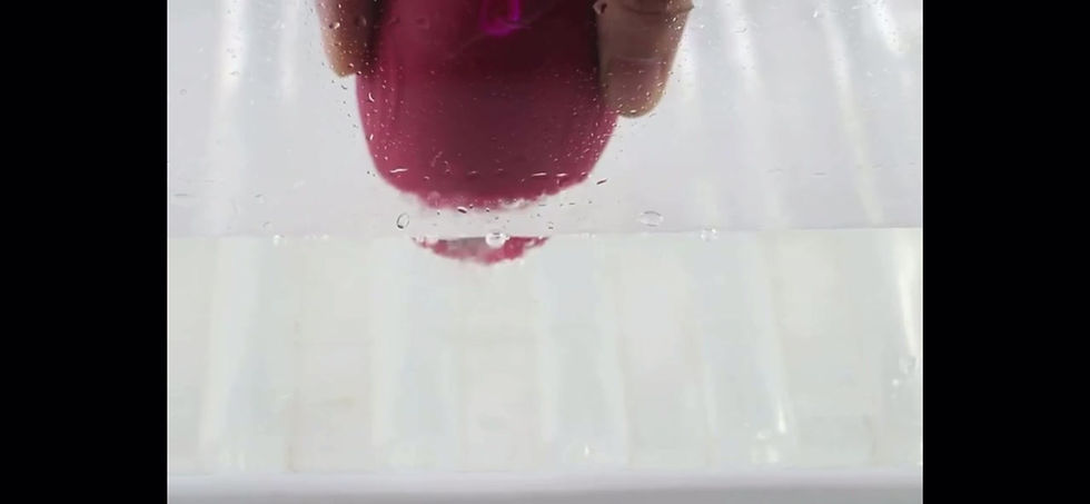 Miniature : Stimulateur de succion d'oiseau Dudu