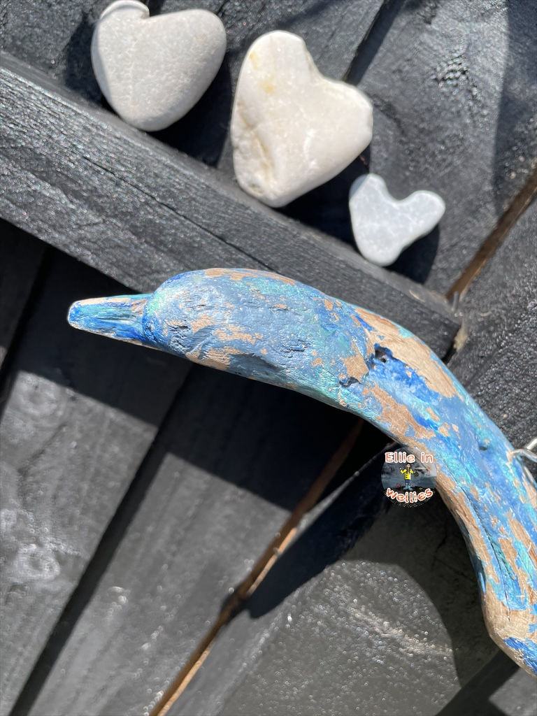 Thumbnail: Doug the driftwood dolphin