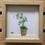Thumbnail: Sea Pottery Orchid