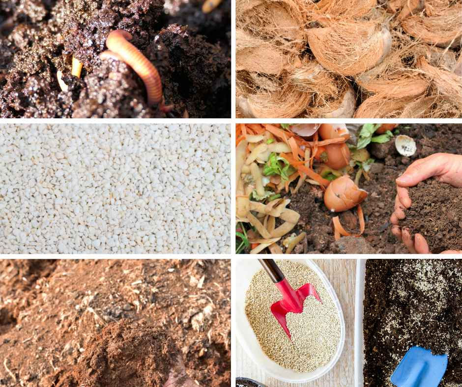 Which Type of Soil is Best for Container Gardening?