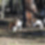 PSX_20240630_171923.jpg