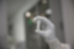 Stem cell master banks are kept in cryovials and stored in liquid nitrogen until needed.