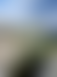 Shiatsu e dolore cronico: un percorso di sollievo e ascolto profondo