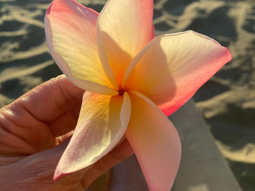 Shiatsu e perimenopausa: ritrovare equilibrio e leggerezza