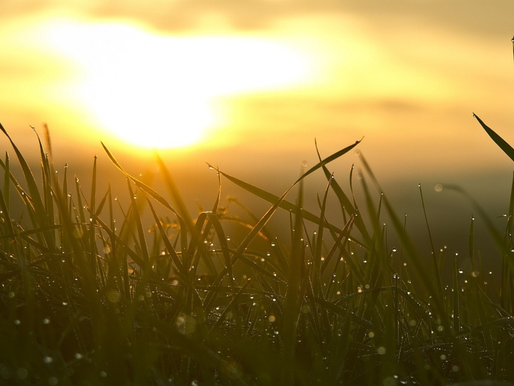 Shiatsu per ansia e insonnia: ritrovare equilibrio e serenità interiore