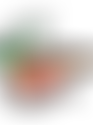 Do you have questions about Chronic Pancreatitis?