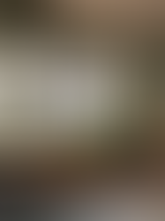 The Power of Polyphenols: How They Benefit Your Gut