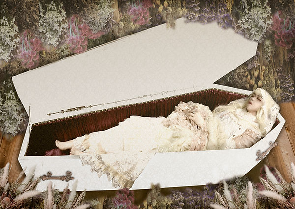 危機裸裸棺工務店棺イメージ