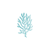 Logo Coral.png