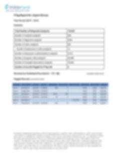 F-Tag Risk Report Page 1