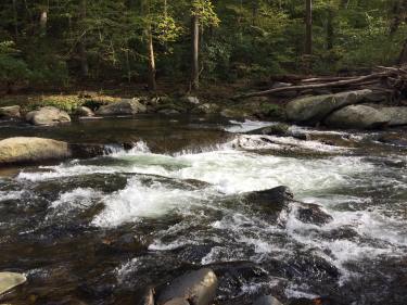 river 1