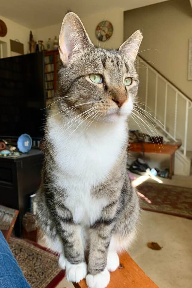 Philosopher pose.