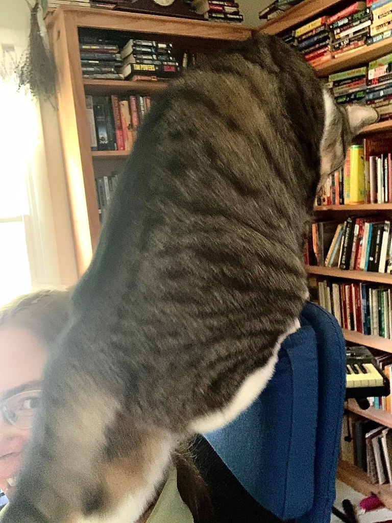 Apparently it’s his chair…