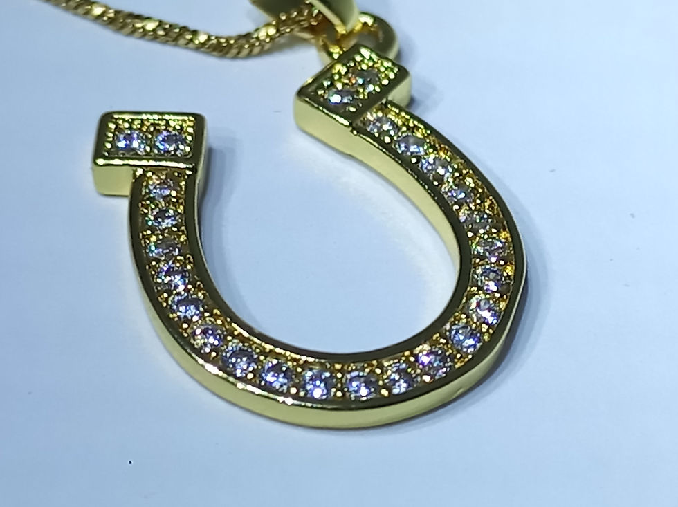 Gold platted horseshoe