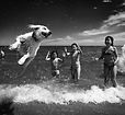 flying dog.jpg
