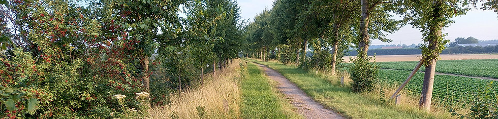 20200810_075104.jpg