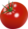 unnamed (3).png