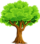 tree.png