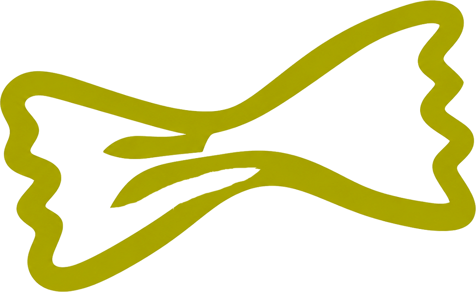 laço.png