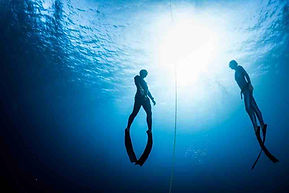 freediver4-1024x683.jpg