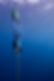91163107-fad0-4d44-b20f-a7d7299d132f.JPG