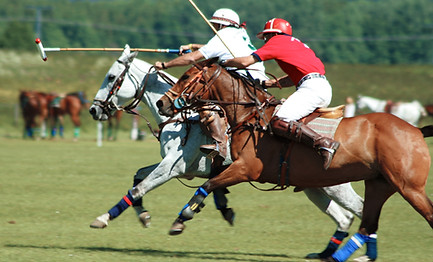 Polo giocatori a caccia di palla