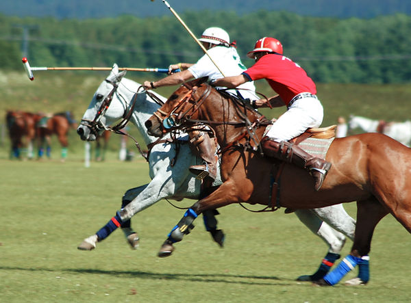 Polo Players
