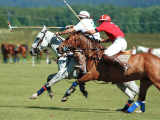 Equine event polo
